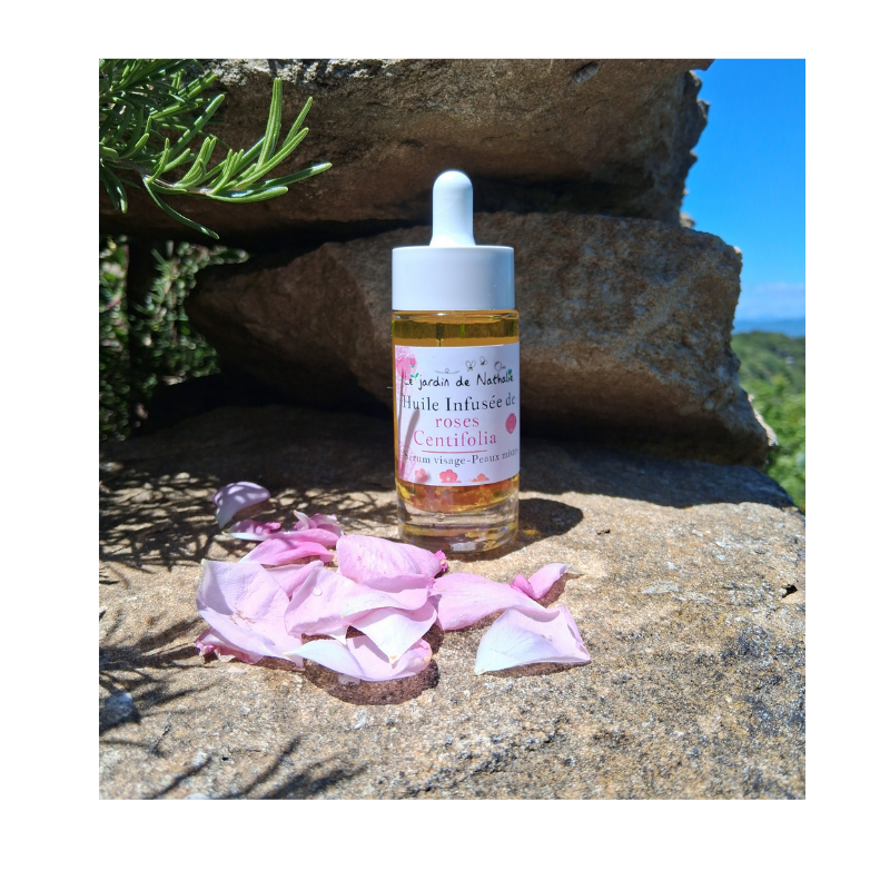 Huile infusée de roses Centifolia