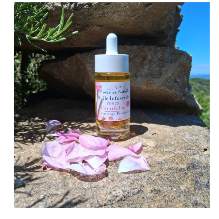 Huile infusée de roses Centifolia